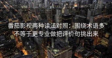 番茄影视两种读法对照：围绕术语多不等于更专业做把评价句挑出来